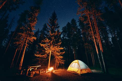 camping trip porn|'Camping trip' Search .